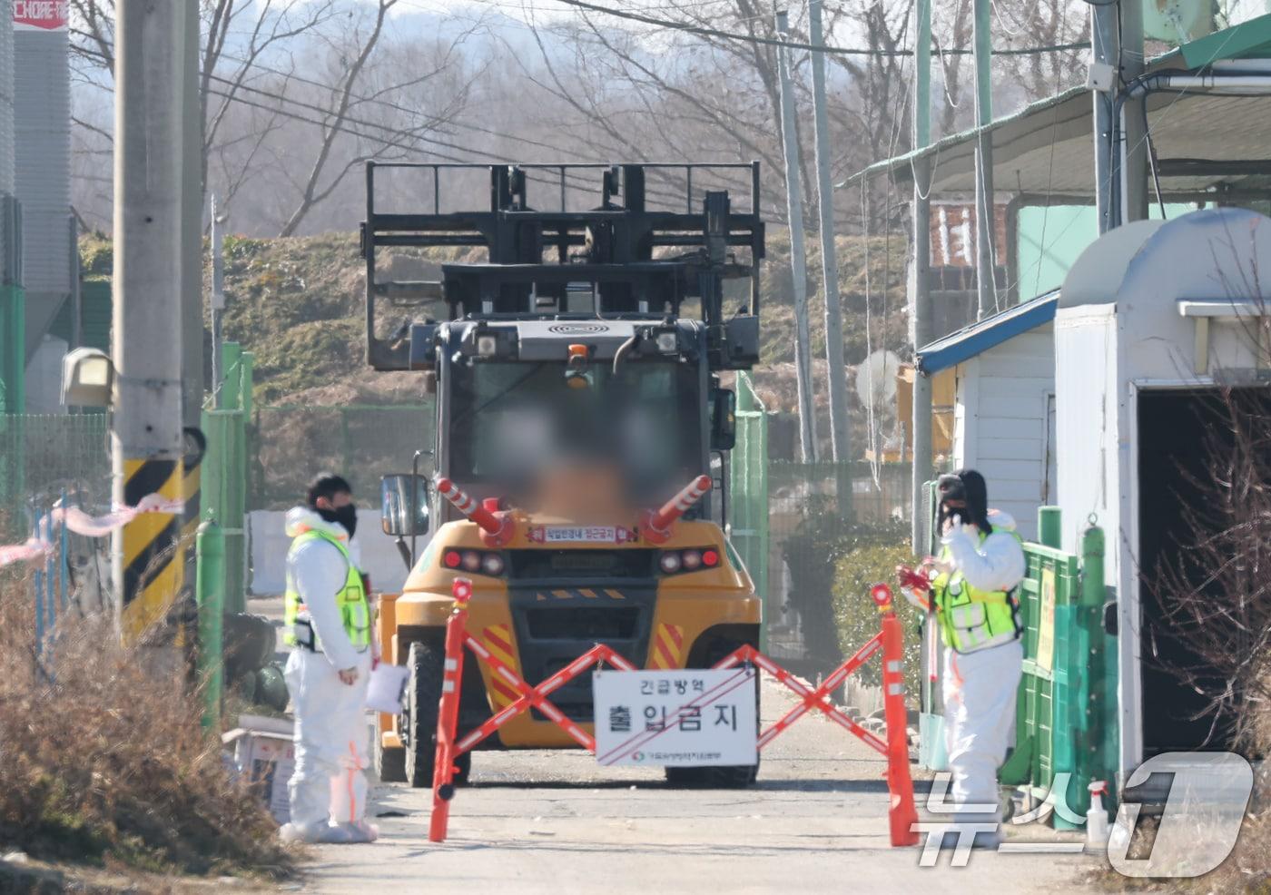 본문 이미지 - 26일 경기 평택시의 한 산란계 농장에서 고병원성 조류인플루엔자(AI)가 발생해 방역당국이 통제 및 방역 작업을 하고 있다. 2025.12.26 ⓒ 뉴스1 김영운 기자