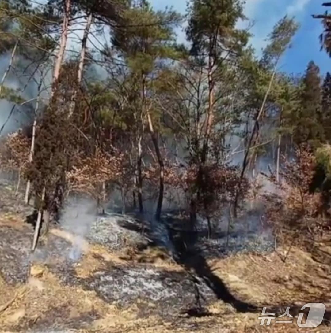 본문 이미지 - 26일 오전 11시11분쯤 대구 군위군 소보면 안락정사 인근의 산 입구에서 난 불이 40여분 만에 진화됐다.(대구소방안전본부 제공. 재판매 및 DB금지)