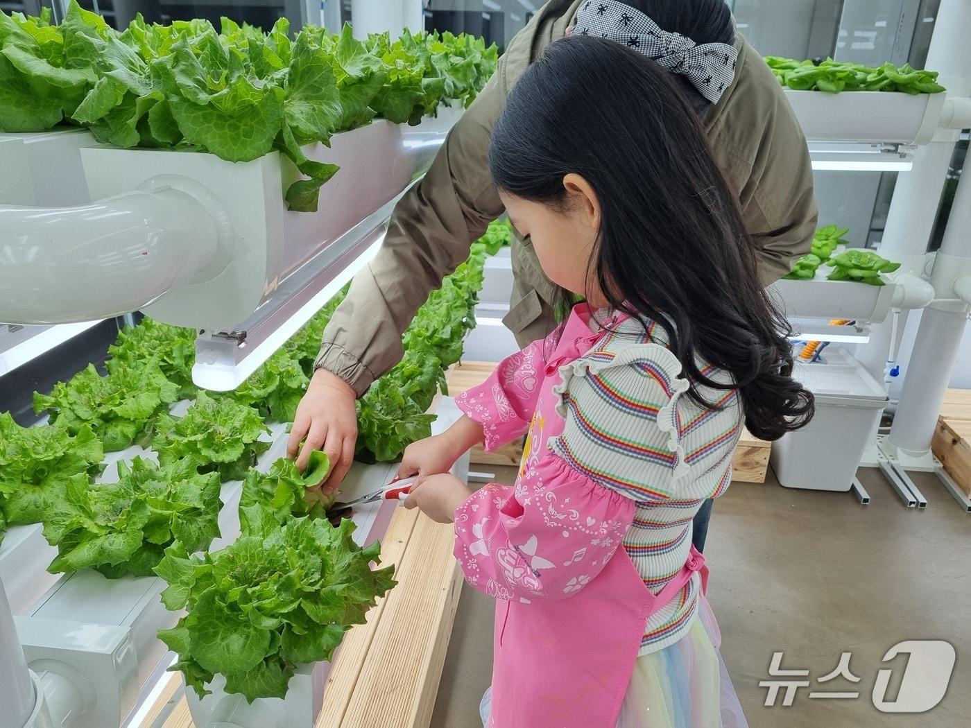 본문 이미지 - (서울시 제공)  