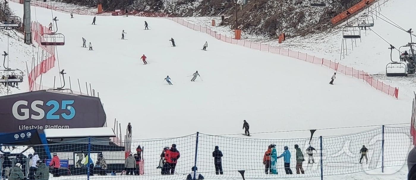 본문 이미지 - 최근 강원 춘천시 엘리시안강촌 스키장 자료 사진. 2025.12.27 ⓒ 뉴스1 신관호 기자