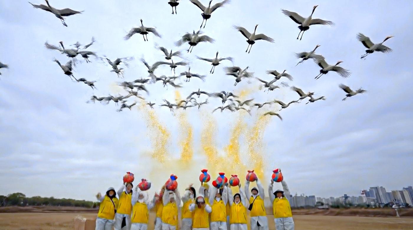 에쓰오일 유튜브 AI 제작 콘텐츠 '에쓰오일 고양 장항습지 생태보존 활동기'(에쓰오일 제공). ⓒ 뉴스1