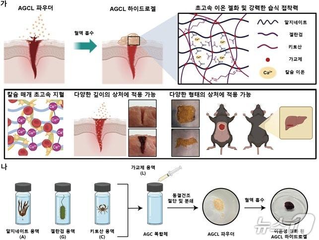 본문 이미지 - AGCL 파우더 개발 전략과 제작 개략도(KAIST 제공) /뉴스1