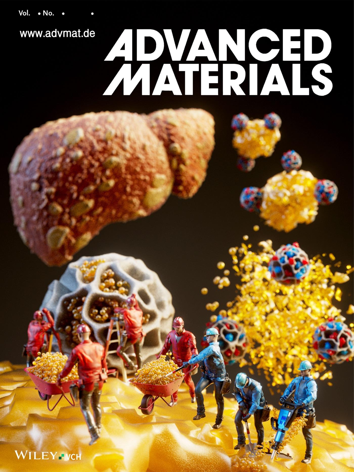 본문 이미지 - 한국과학기술연구원(KIST)·한양대 공동 연구진이 간세포 안에 쌓인 지방을 직접 제거하는 새로운 치료제를 개발했다. 연구는 국제 학술지 '어드밴스드 매터리얼즈' 표지논문으로 선정됐다.(KIST 제공)