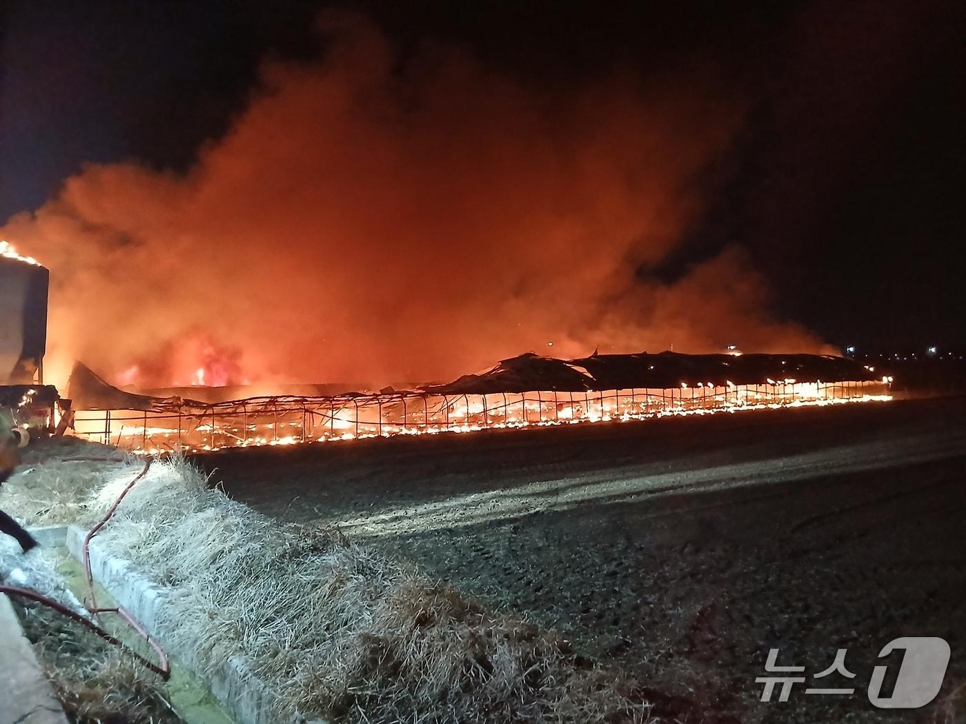 본문 이미지 - 충주 양계장 화재 현장.(충주소방서 제공. 재판매 및 DB금지)/뉴스1
