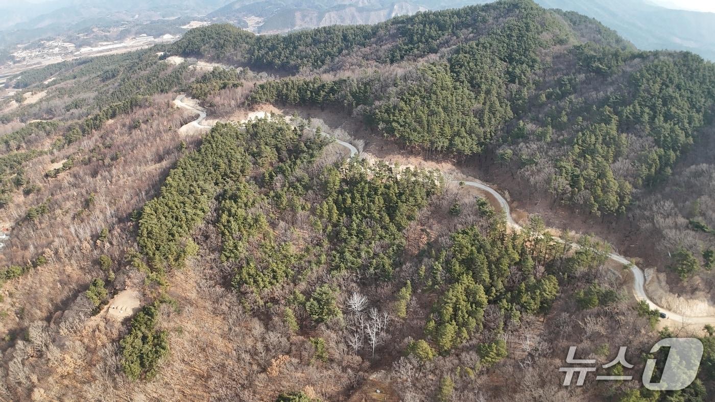 금산군 부리면 현내리~예미리 간선임도(금산군 제공.재판매 및 DB금지)/뉴스1