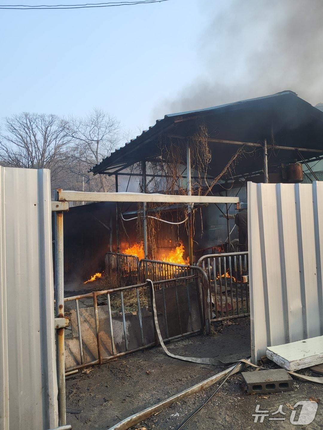 본문 이미지 - 화재현장(경기 김포소방서 제공/뉴스1)