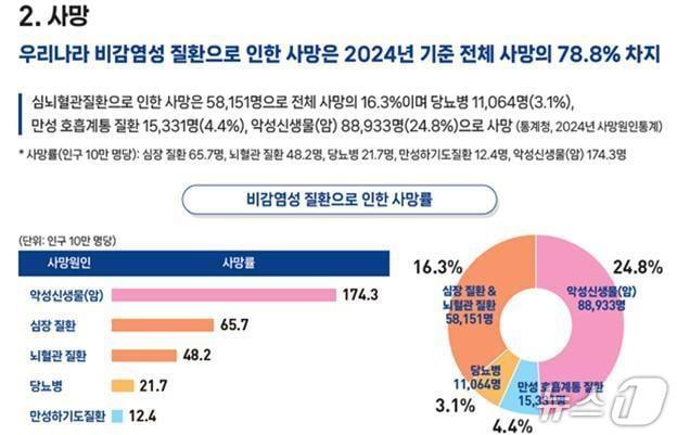 본문 이미지 - (질병청 제공)