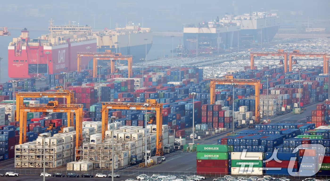  경기 평택시 포승읍 평택항에 수출용 컨테이너가 쌓여있다. 2025.12.29/뉴스1 ⓒ News1 김영운 기자