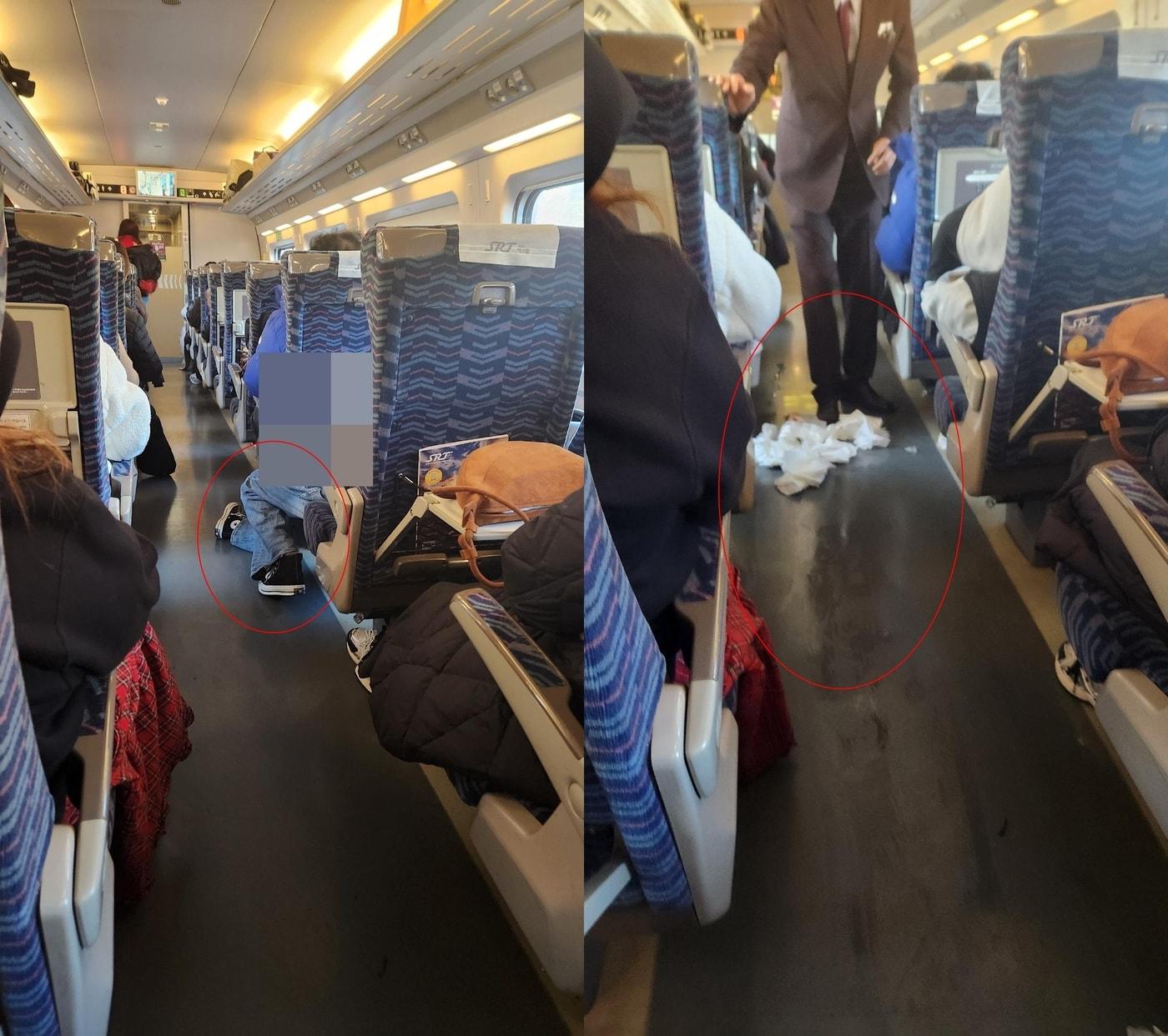 본문 이미지 - (보배드림 갈무리)