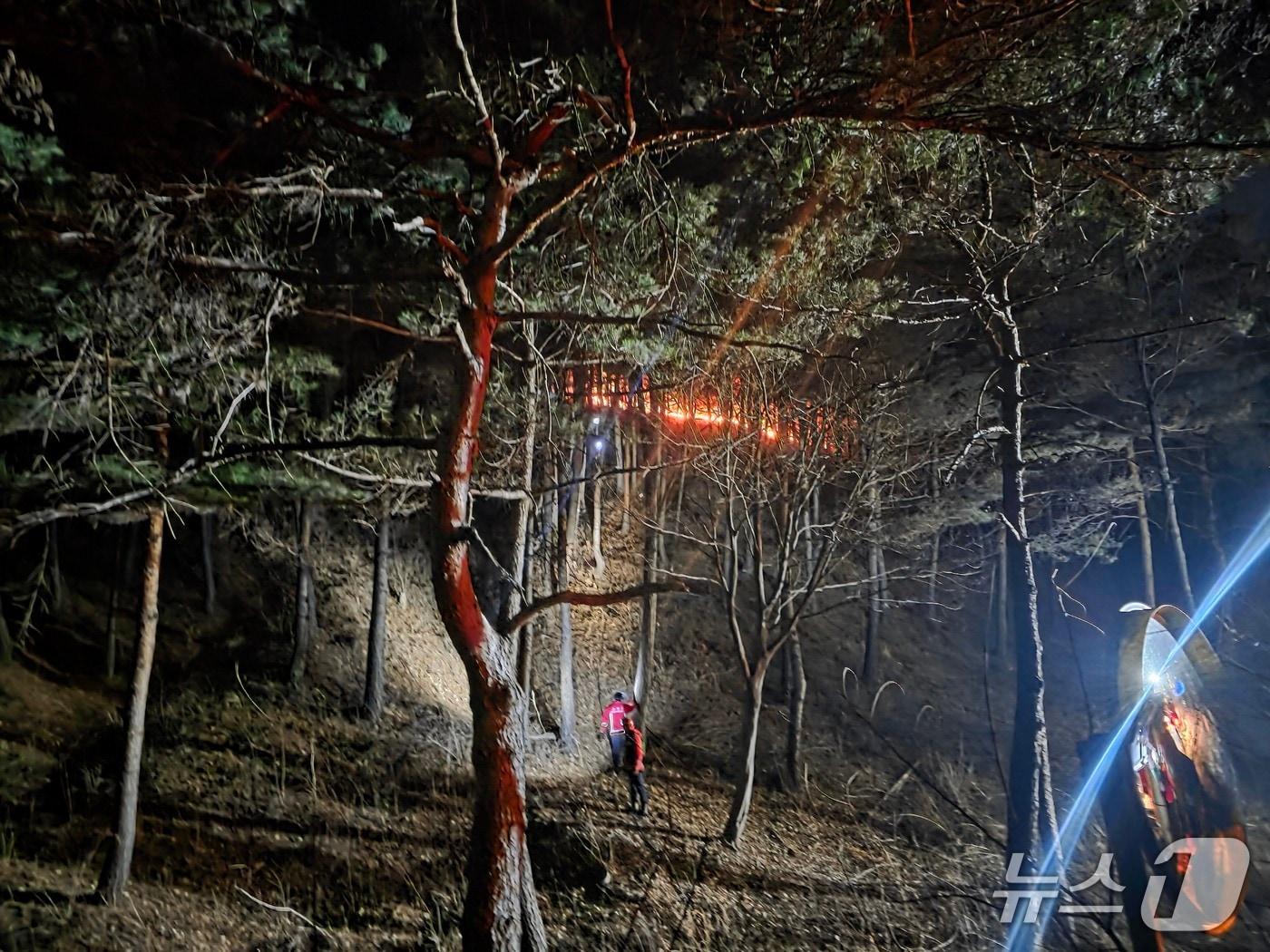 본문 이미지 - 강원 고성군 거진읍 화포리 산불 현장.(강원도 제공, 재판매 및 DB금지)