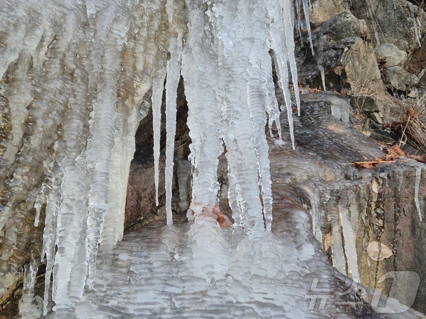 본문 이미지 - 강원 대부분 지역에 한파특보가 발효 중인 3일 오전 아침 최저기온이 -13.2도까지 떨어진 대관령 구 도로변에 고드름이 길게 달려있다. 강원지방기상청에 따르면 이날 오전 6시 기준 주요지점 최저기온은 향로봉 -18.5도, 구룡령 -15.3도, 평창용산 -13.7도, 미시령 -13.7도, 횡성 둔내 -13도 등이다. 2025.12.3/뉴스1 ⓒ News1 윤왕근 기자