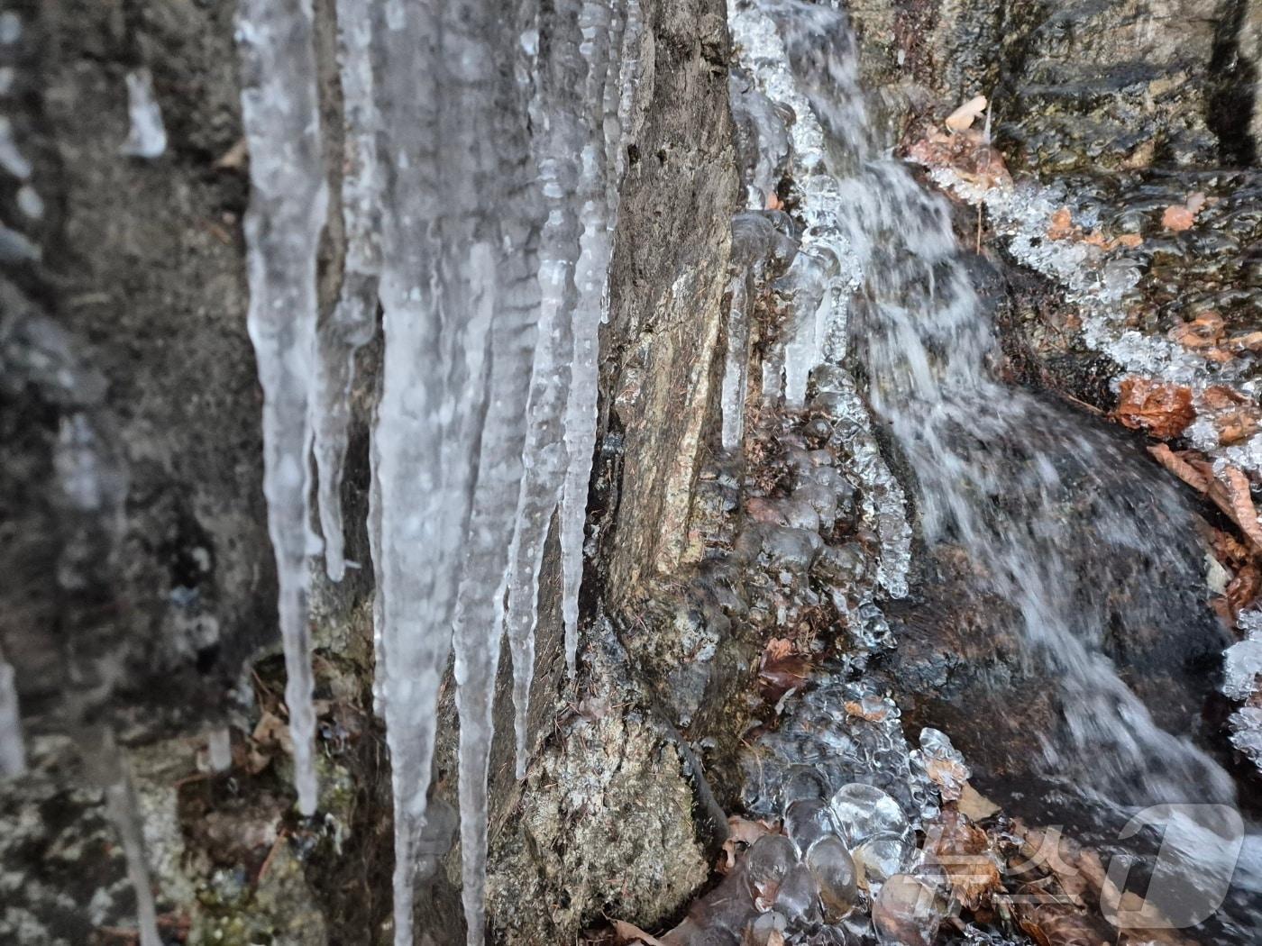 본문 이미지 - 강원 대부분 지역에 한파특보가 발효 중인 3일 오전 아침 최저기온이 -13.2도까지 떨어진 대관령 구 도로변에 고드름이 길게 달려있다.  2025.12.3/뉴스1 ⓒ News1 윤왕근 기자