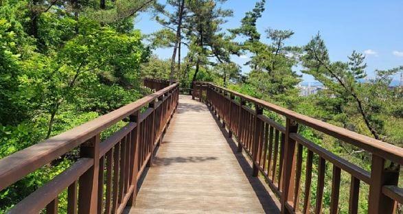 본문 이미지 - 내포사색길 데크 모습.(충남도 제공. 재판매 및 DB금지)/뉴스1