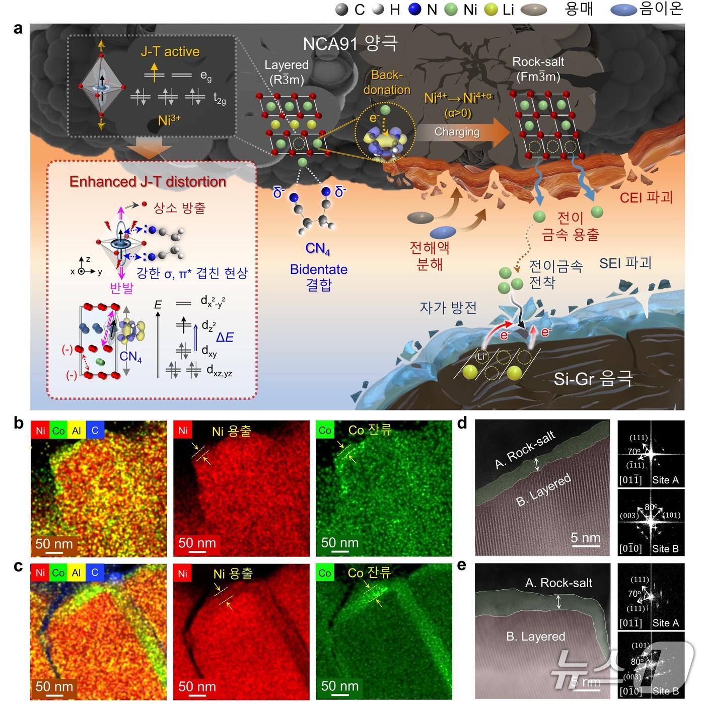 본문 이미지 - CN4 분자에 따른 하이니켈 양극 표면 열화 모식도&#40;KAIST 제공&#41; /뉴스1