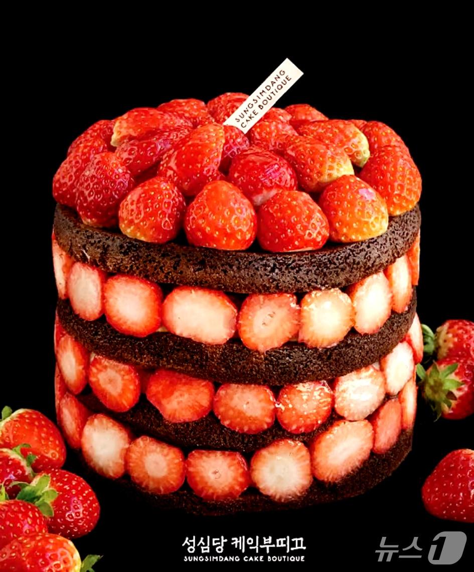 본문 이미지 - 성심당이 겨울 시즌 케이크 판매를 시작했다. 사진은 대표 제품인 &#39;딸기시루&#39;. &#40;성심당 SNS 제공. 재판매 및 DB금지&#41; 2025.12.3/뉴스1