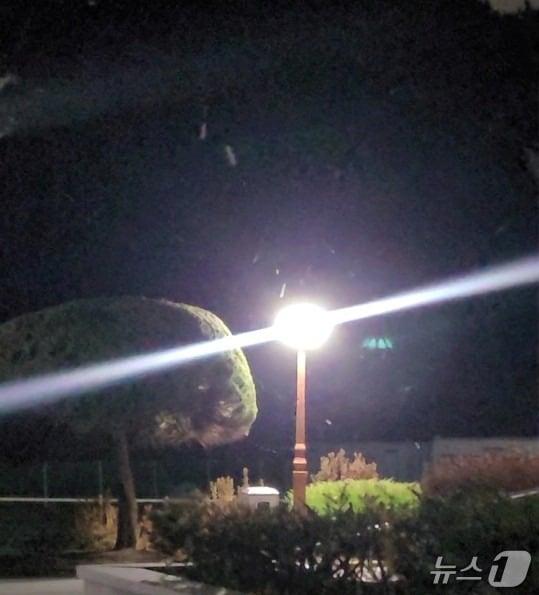 본문 이미지 - 대전 유성구 대학로에서 3일 첫눈이 관측됐다.(대전지방기상청 제공) /뉴스1