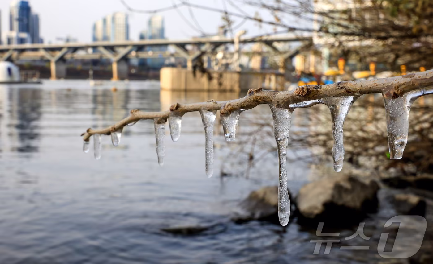 서울 지역 아침 최저 기온이 영하 8도까지 떨어지면서 한파가 몰아닥친 3일 서울 광진구 뚝섬한강공원 인근에 고드름이 얼어있다. 2025.12.3/뉴스1 ⓒ News1 김진환 기자