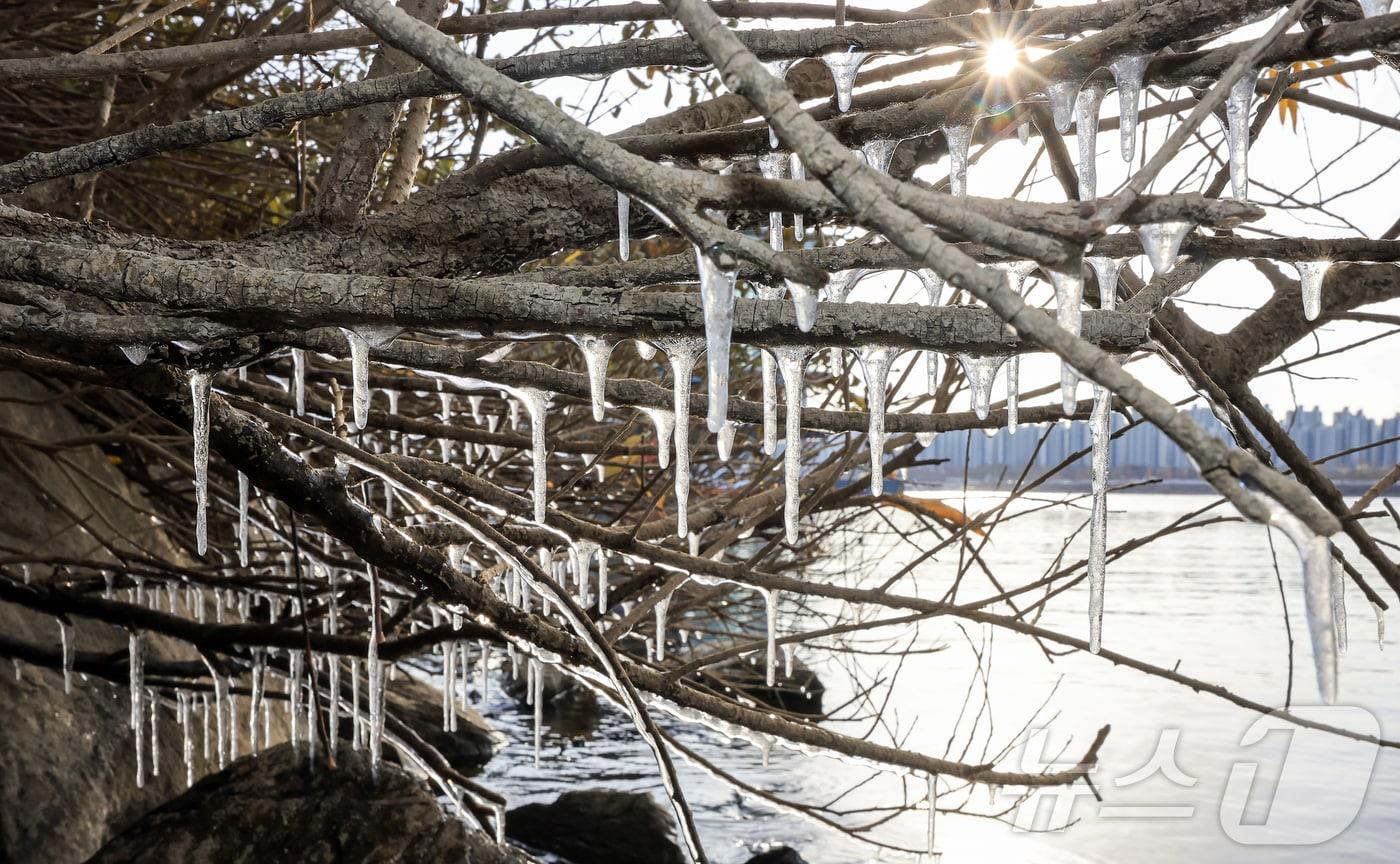 서울 지역 아침 최저 기온이 영하 8도까지 떨어지면서 한파가 몰아닥친 지난 3일 서울 광진구 뚝섬한강공원 인근에 고드름이 얼어있다. &#40;자료사진&#41;뉴스1 DB