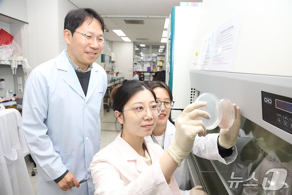 본문 이미지 - 한국생명공학연구원 세포공장연구센터 이형관 박사 연구팀(생명연 제공) /뉴스1