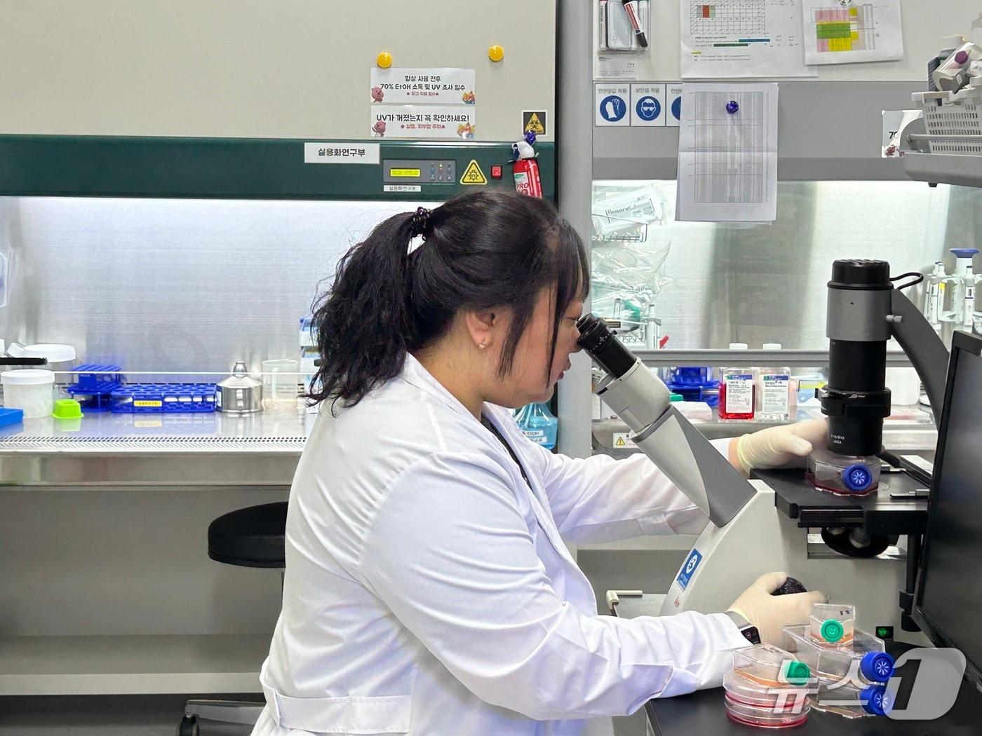 본문 이미지 - 상동나무 추출물 연구 모습.&#40;국립호남권생물자원관 제공. 재판매 및 DB금지&#41;