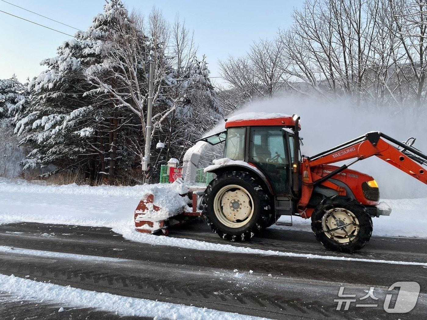본문 이미지 - 강원 삼척지역 제설작업 자료사진.&#40;삼척시 제공, 재판매 및 DB 금지&#41; 2025.12.3/뉴스1