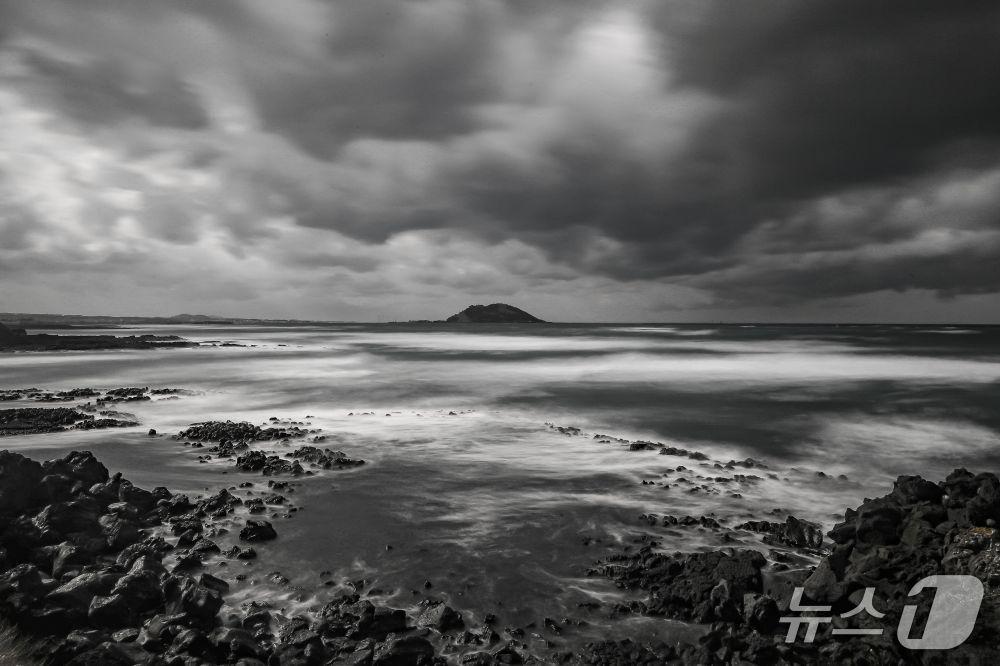 본문 이미지 -  지남준의 '늘 그자리에'(제주카메라클럽 제공. 재판매 및 DB금지)/뉴스1