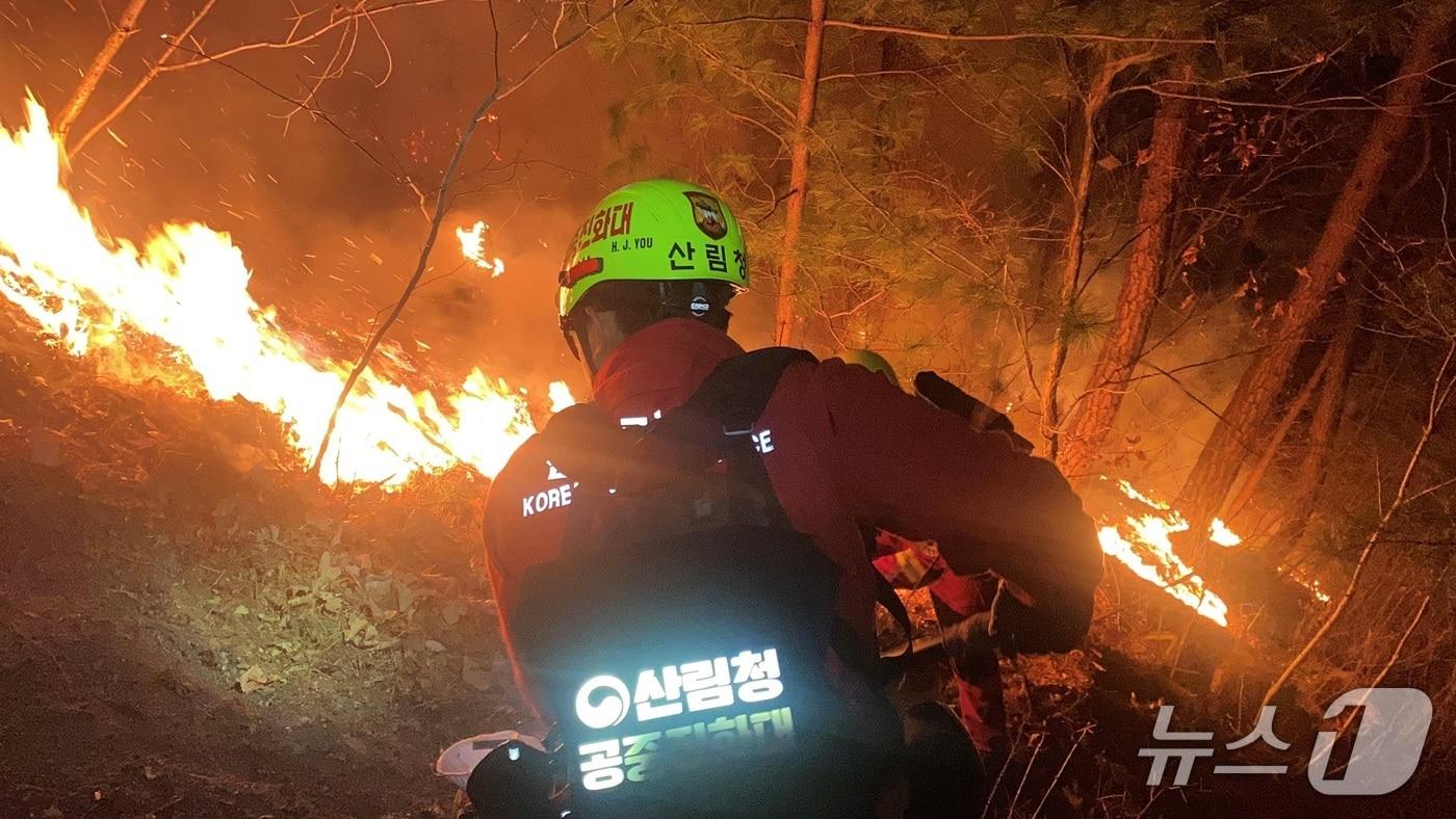 산불진화에 총력을 기울이고 있는 산림청 공중진화대원 &#40;산림청 제공.재판매 및 DB금지&#41;/뉴스1