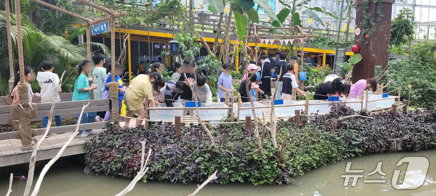 창녕우포곤충나라 견학 장면(창녕군 제공. 재판매 및 DB금지).