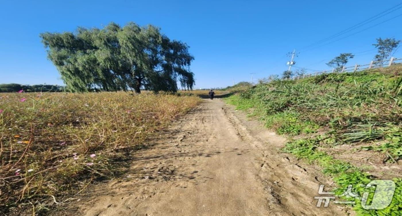 청주시 산책로 조성 예정지.&#40;시 제공&#41;/뉴스1