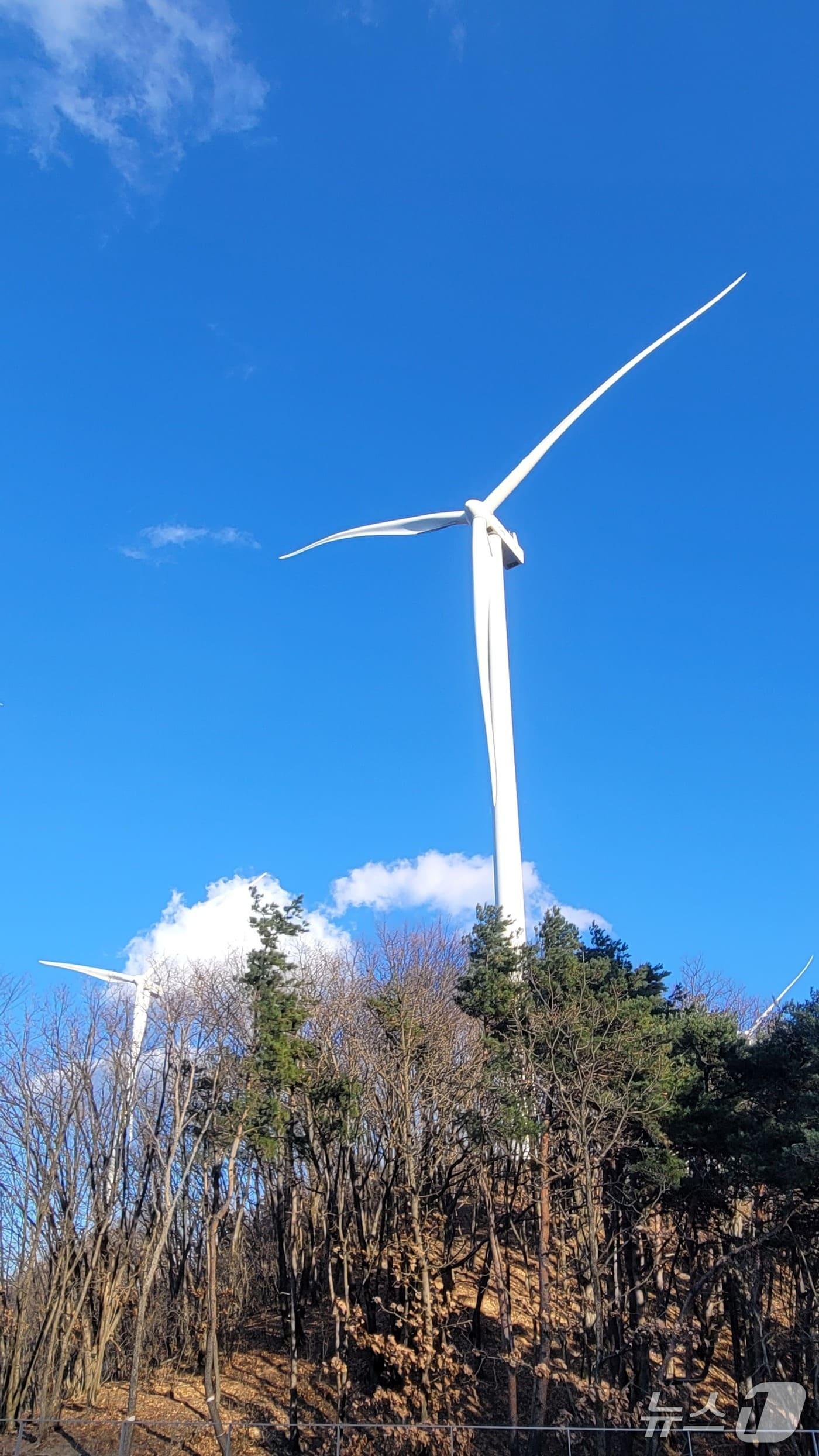 본문 이미지 - 서부발전이 참여한 풍백 육상풍력 단지의 5MW급 대형 터빈이 줄지어 서 있다. &#40;사진제공=서부발전&#41;