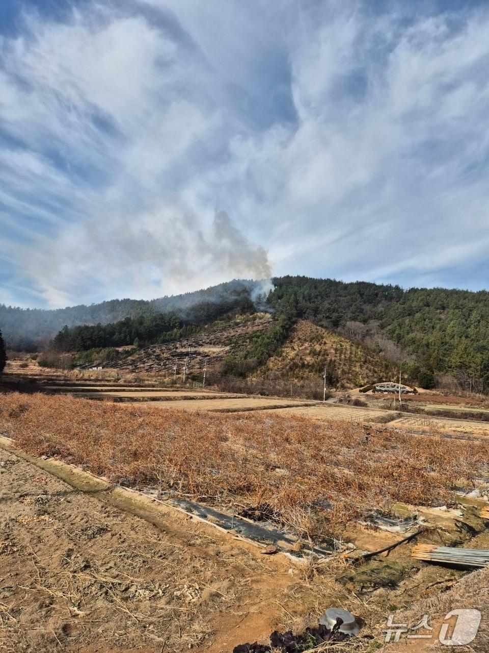 본문 이미지 - 30일 전남 장흥 한 야산에서 발생한 산불 모습.(산림청 제공. 재판매 및 DB 금지) 2025.12.30