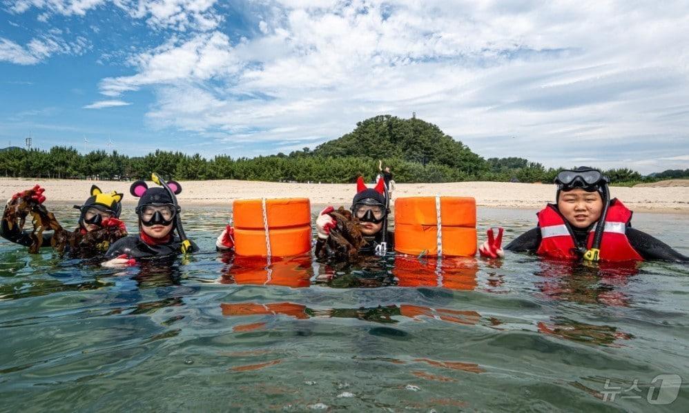 본문 이미지 - 경북교육청은 30일 2026학년도 초등 교육과정 공모사업을 추진해 교육과정 정책을 고도화하고 경북형 초등교육의 미래교육을 본격화한다/뉴스1