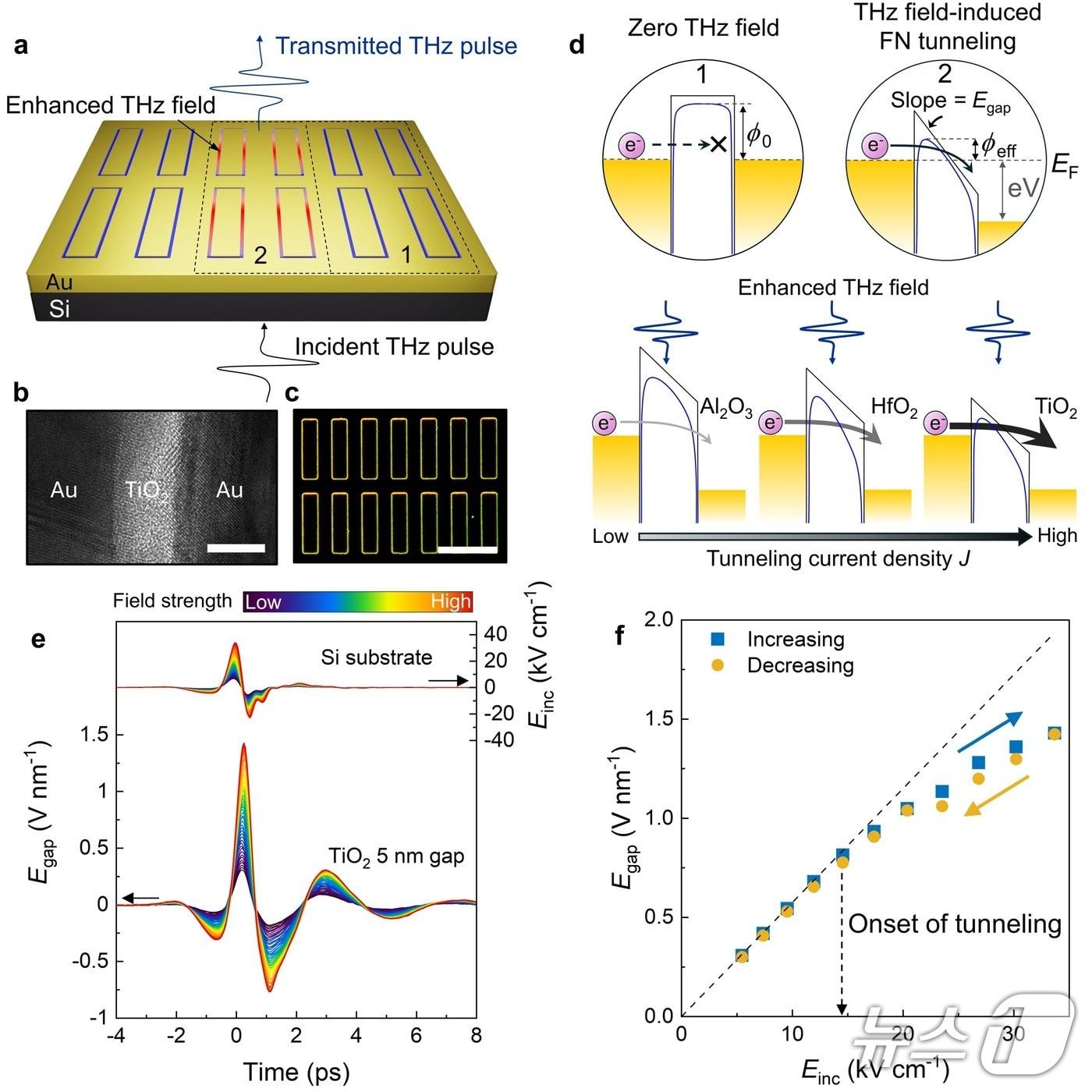 본문 이미지 - 테라헤르츠 전기장에 의해 유도되는 양자 터널링 현상 연구 그림.(UNIST 제공. 재판매 및 DB금지)/뉴스1
