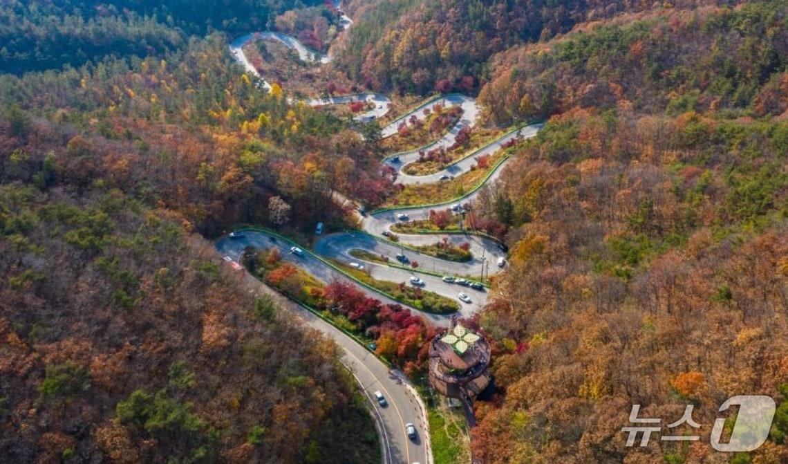 본문 이미지 - 말티재.(보은군 제공. 재판매 및 DB금지)/뉴스1