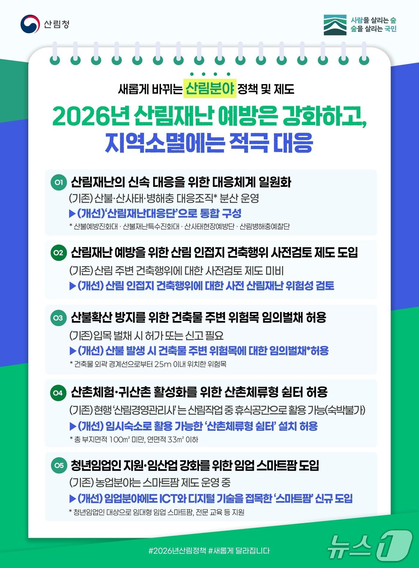 본문 이미지 -  뉴스1