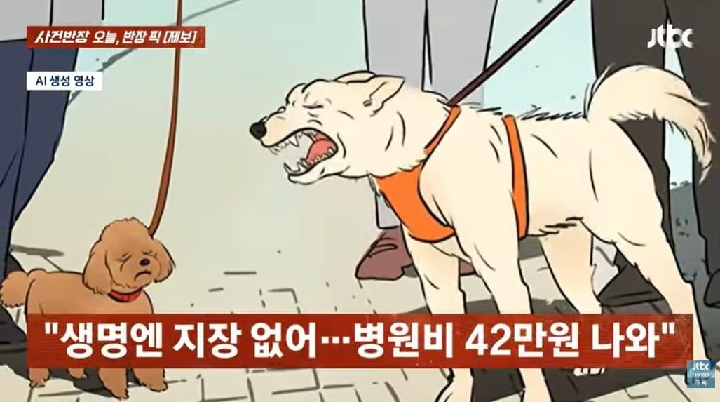 본문 이미지 - (JTBC '사건반장' 갈무리)