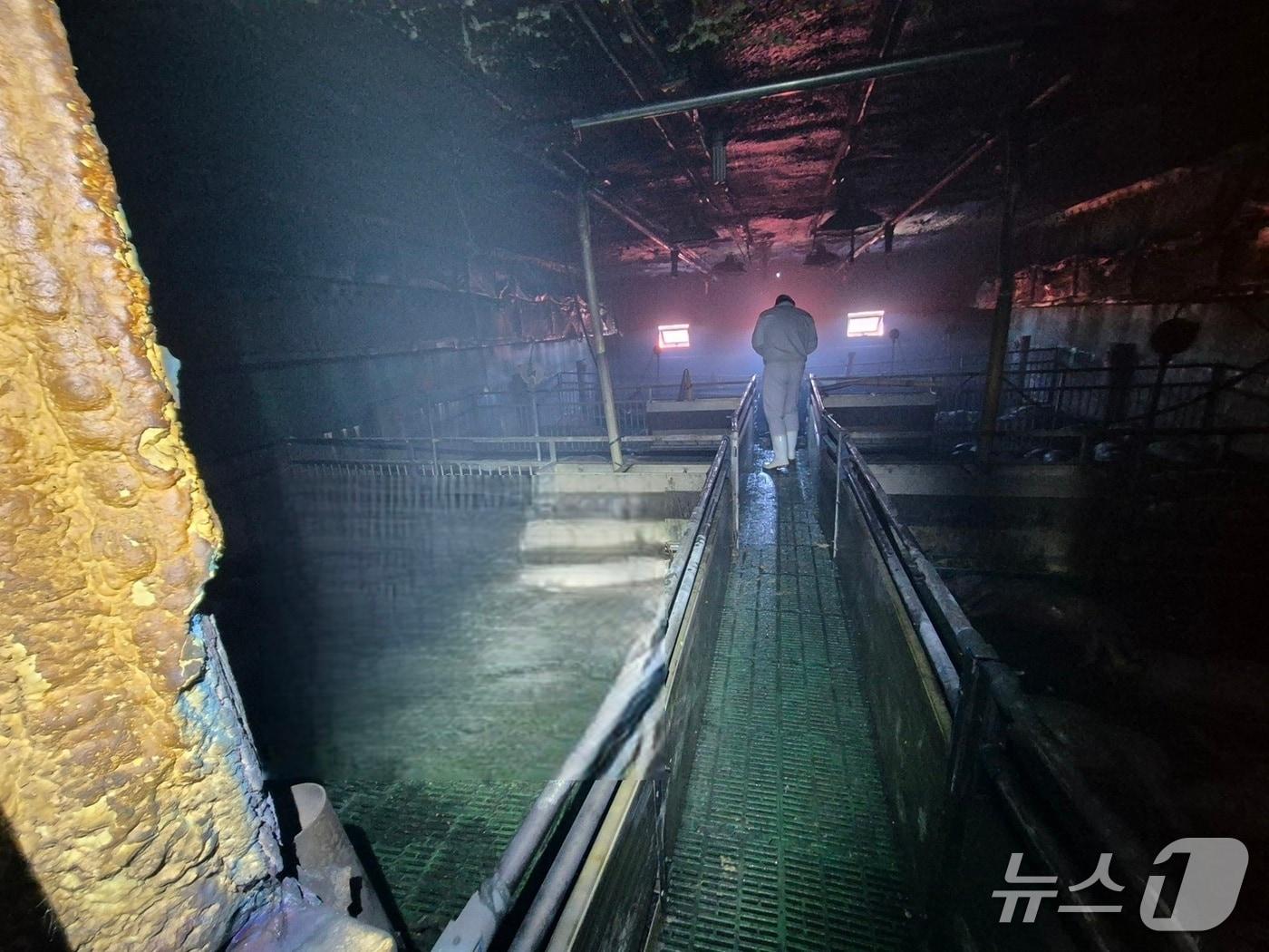 본문 이미지 - 예산 신암면 돈사 화재 현장. (예산소방서 제공, 재판매 및 DB금지) / 뉴스1 