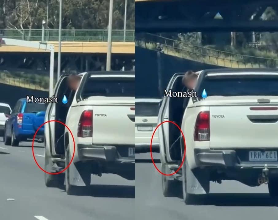 본문 이미지 - (틱톡 'griseldablanco77' 갈무리)