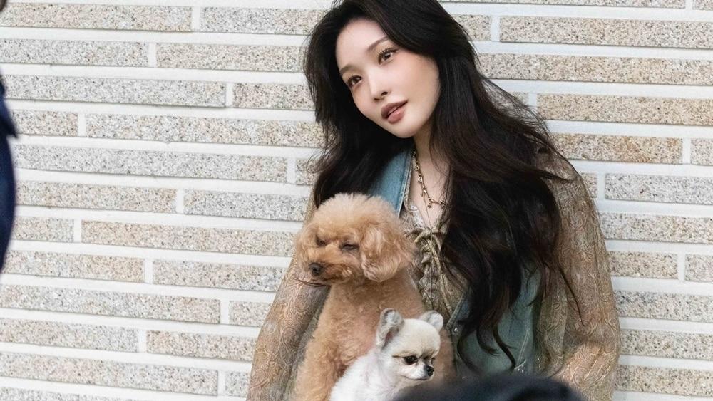 본문 이미지 - 청하