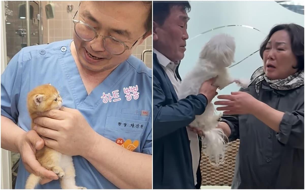 본문 이미지 - 유튜브 속 동물병원 영상들이 올 한 해 많은 이들에게 위로와 감동을 전했다(유튜브 갈무리). ⓒ 뉴스1