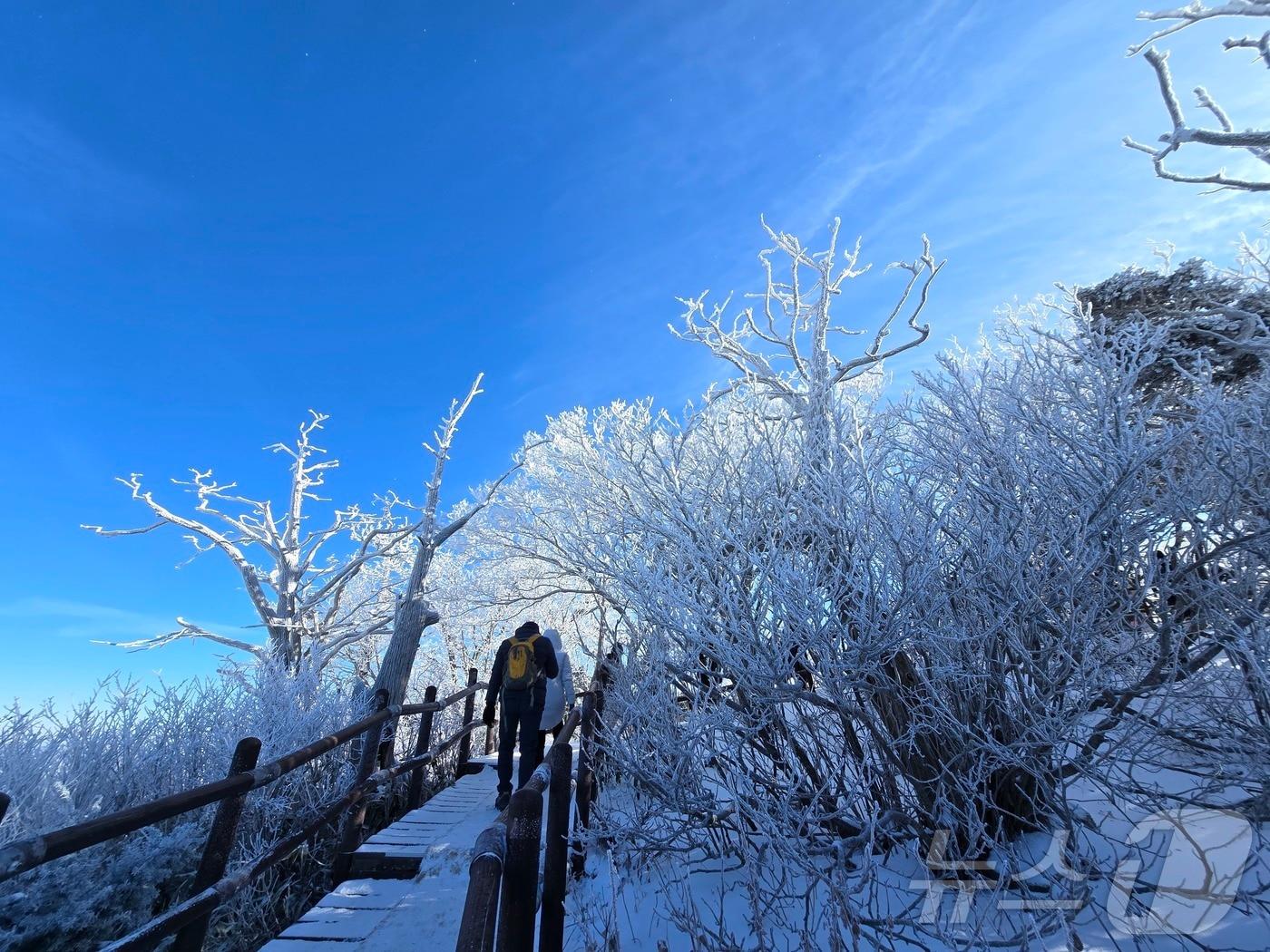 본문 이미지 - 2025년 을사년(乙巳年)의 마지막 날인 31일 전북 무주군 덕유산의 향적봉 설경.(덕유산국립공원사무소 제공. 재판매 및 DB금지) 2025.12.31/뉴스1 