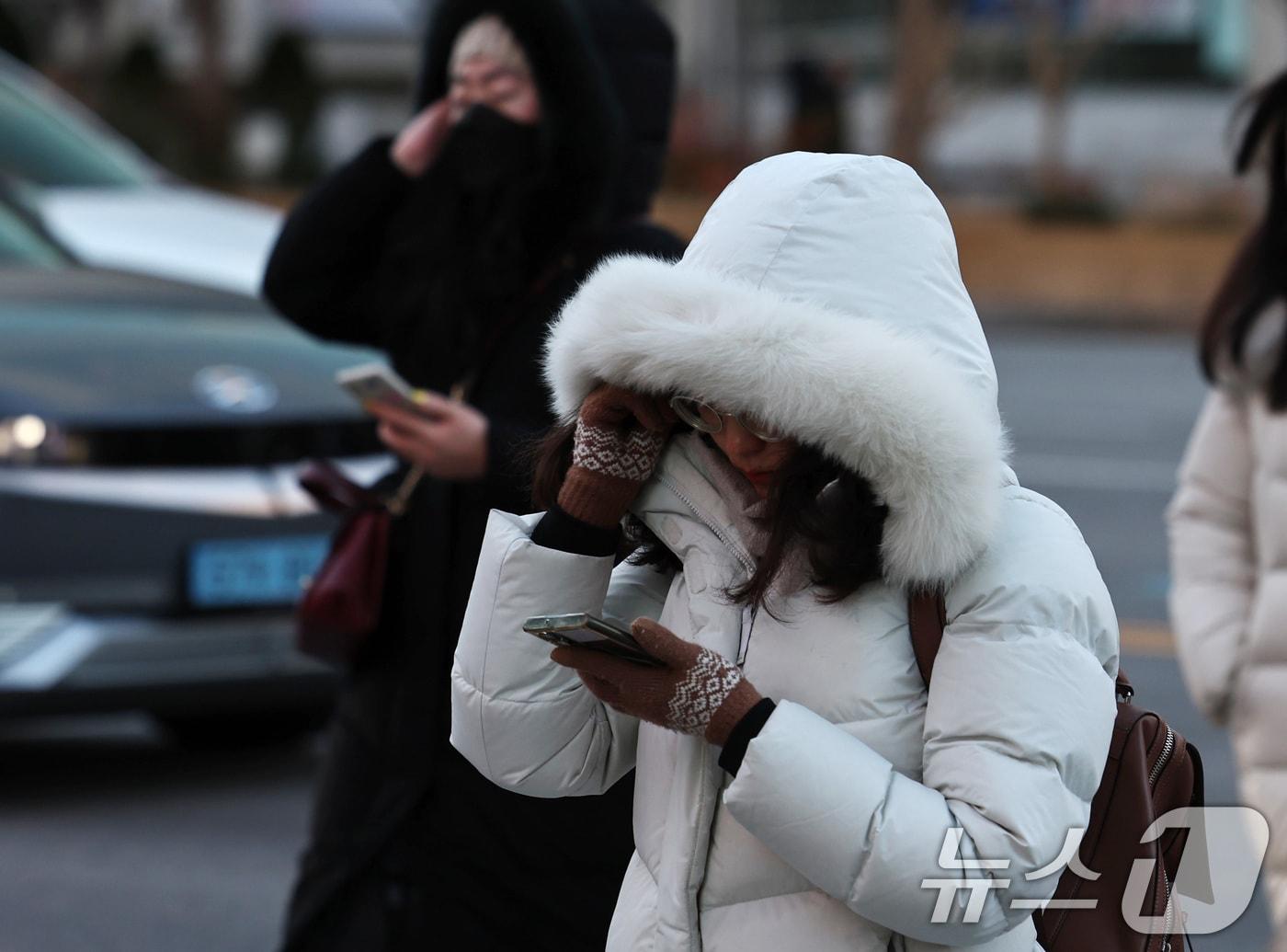 본문 이미지 - 자료사진/뉴스1