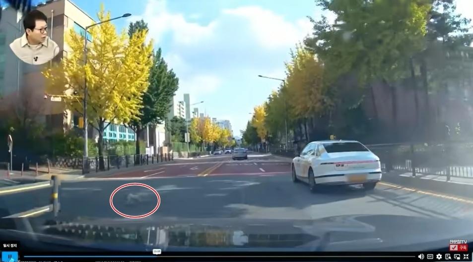 본문 이미지 - (유튜브 채널 '한문철TV' 갈무리)