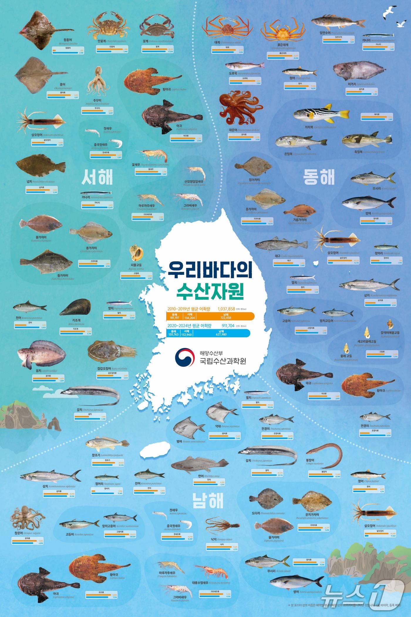 본문 이미지 - 우리바다의 수산자원 포스터 &#40;수과원 제공. 재판매 및 DB금지&#41;