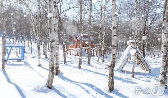 본문 이미지 - 강원 태백시의 겨울 관광 홍보 자료 사진. &#40;태백시 제공. 재판매 및 DB금지&#41; 2025.12.4/뉴스1