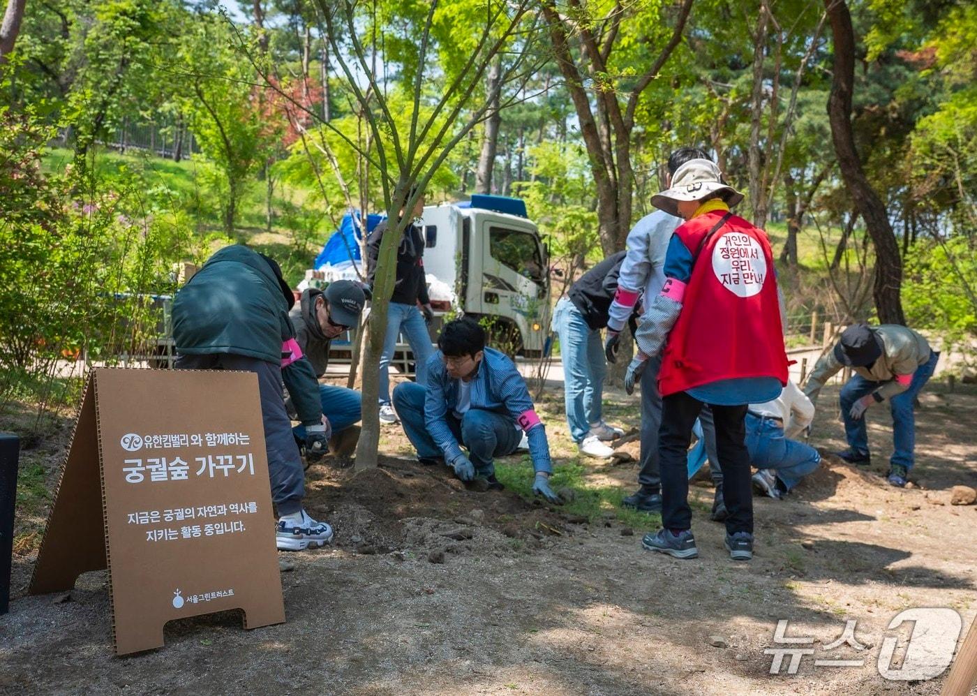 유한킴벌리가 창경궁 궁궐숲 조성 사업을 성공적으로 마쳤다 &#40;유한킴벌리 제공&#41;