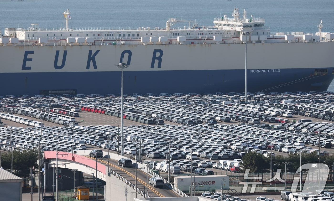 본문 이미지 - 경기 평택시 포승읍 평택항에 수출용 차량이 세워져 있다.(기사 내용과 무관.) 2025.12.4/뉴스1 ⓒ News1 김영운 기자