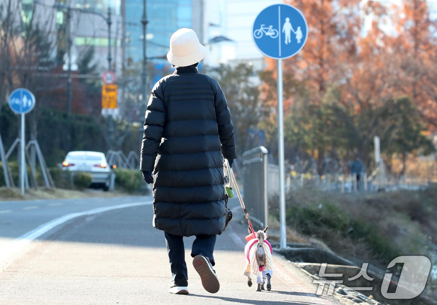 한파가 계속된 4일 오전 대구 중구 신천둔치에서 롱패딩 차림의 한 시민이 반려견과 함께 산책을 하고 있다. 2025.12.4/뉴스1 ⓒ News1 공정식 기자