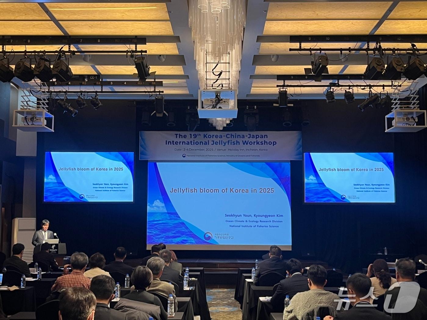 본문 이미지 - ‘제19차 한·중·일 국제 해파리 워크숍’ 모습 (수과원 제공. 재판매 및 DB금지)