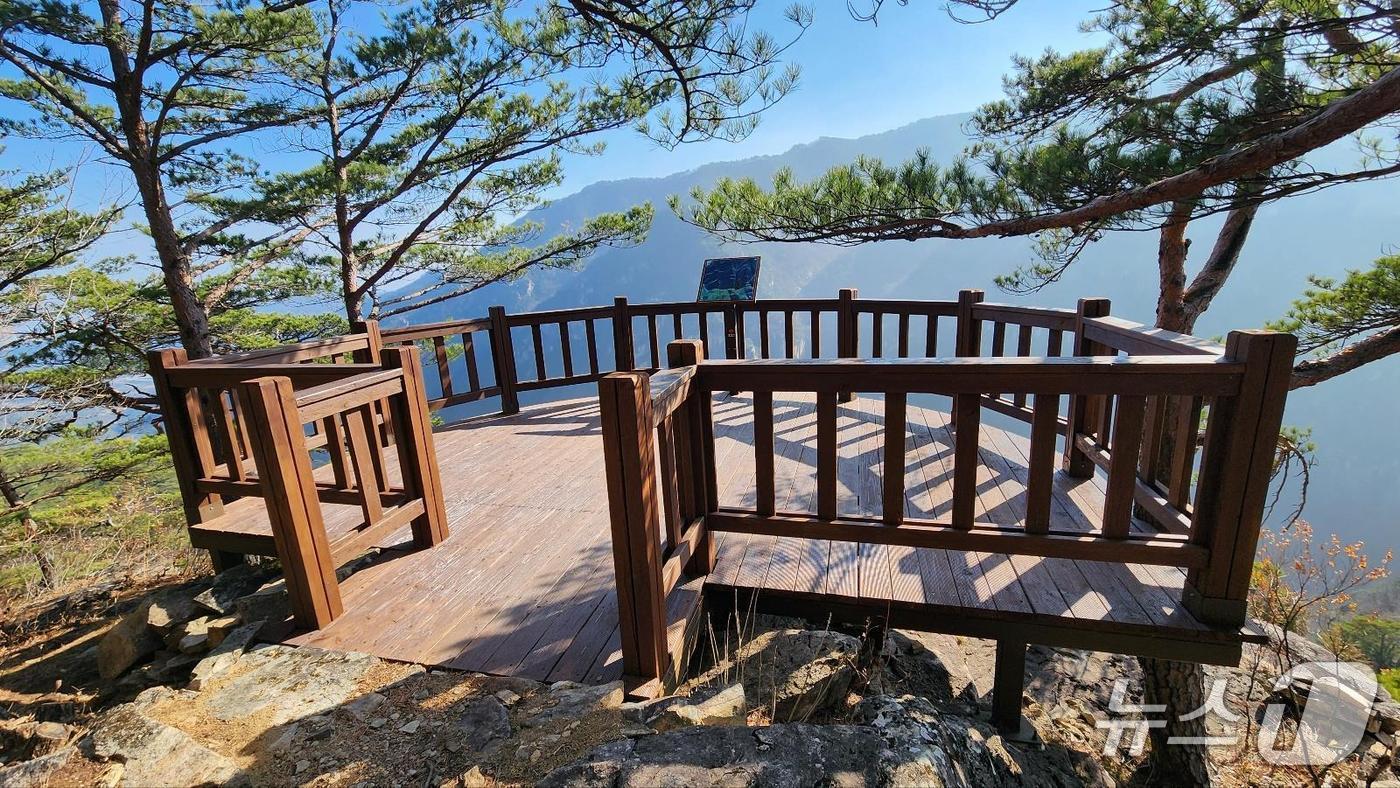 최근 조성된 강원 동해시 무릉계곡 피마름골 숲길 전망대.&#40;동해시 제공, 재판매 및 DB 금지&#41; 2025.12.4/뉴스1